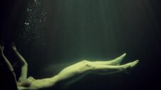 Джиллиан Андерсон: Ганнибал (2013)  – секс сцены